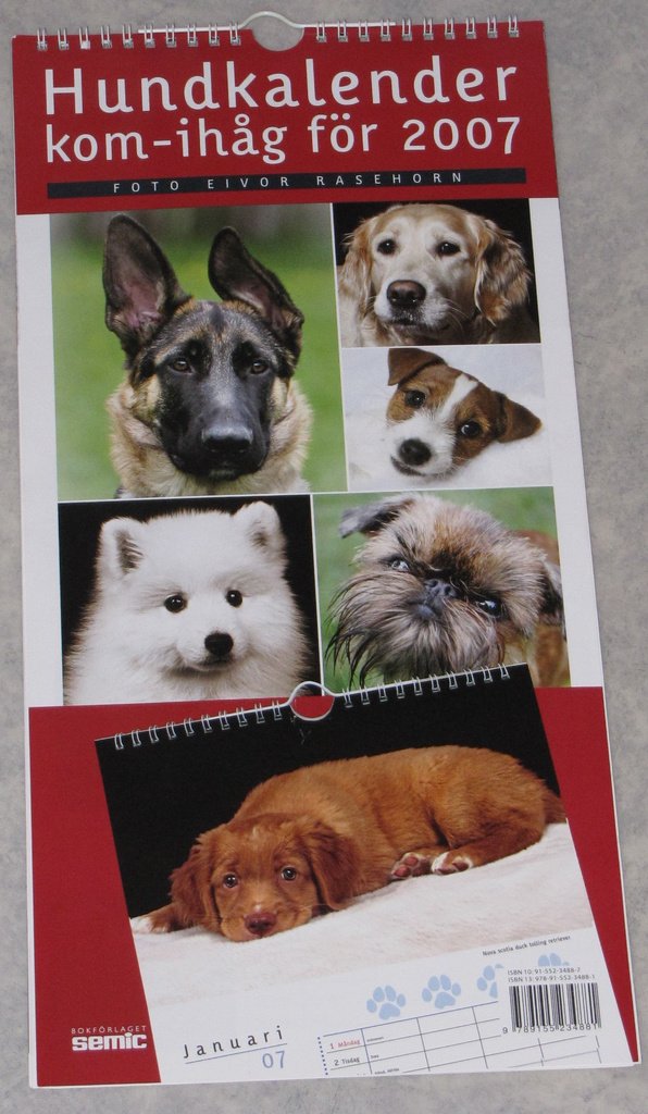 Hund almanacka kalender hundar hundvalp s&ouml;t gul.. | K&ouml;p p&aring; Tradera