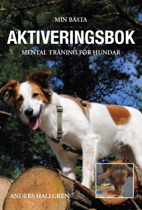 Min bästa aktiveringsbok 9789163989902