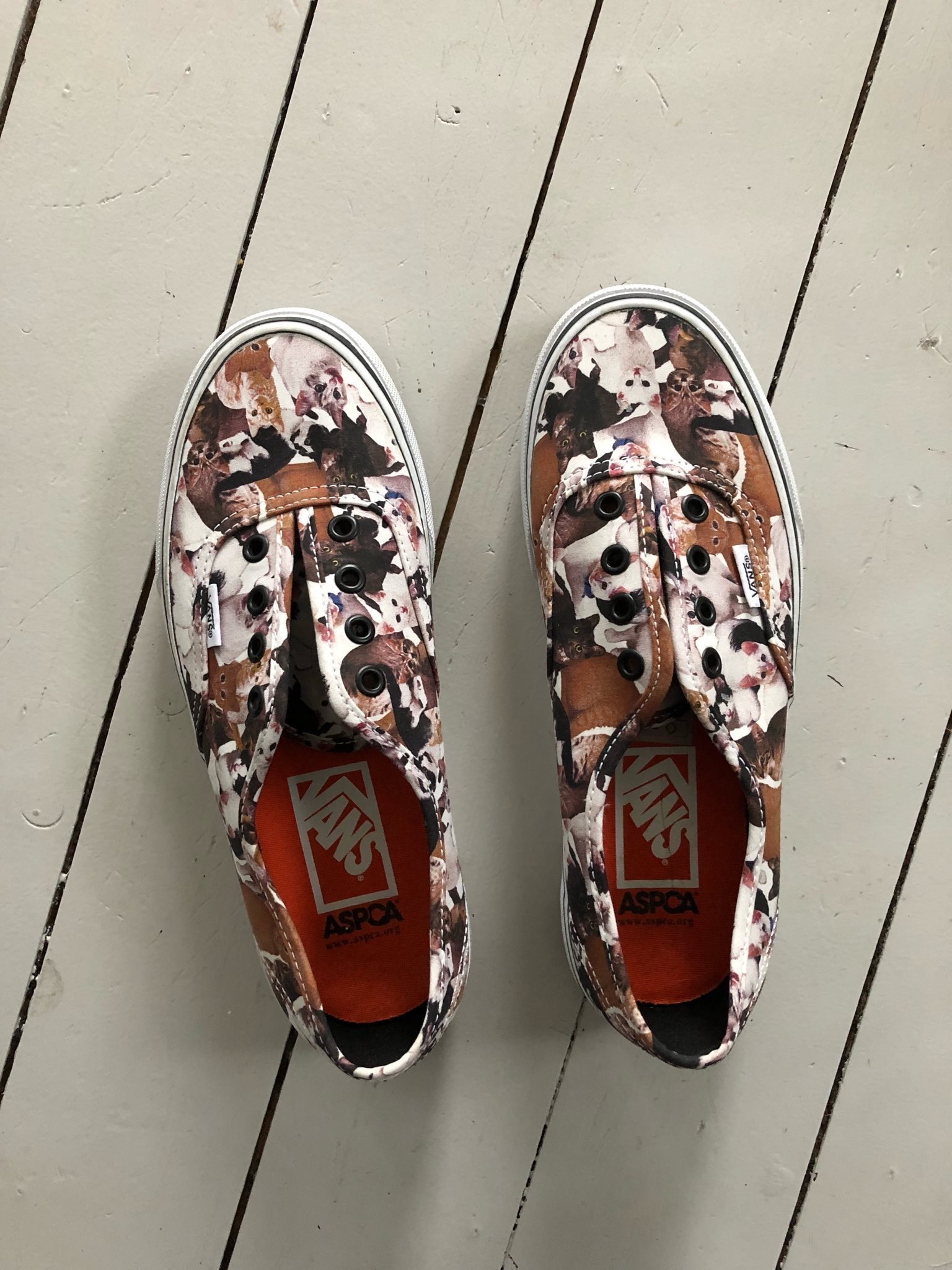 vans katter vans katter