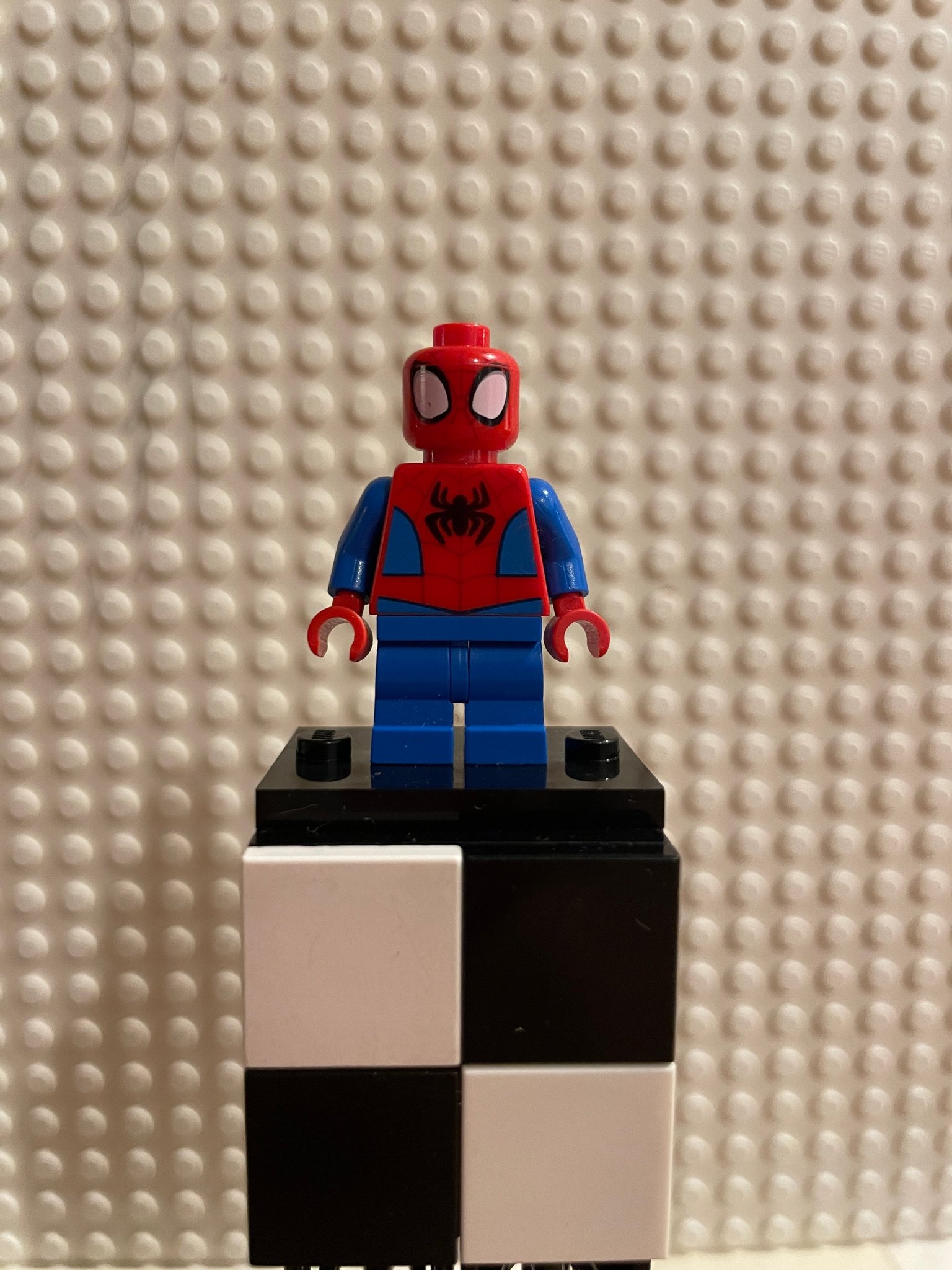 LEGO Super Heroes Spider-Man Peter 'Spidey' Parker (SH1105)
