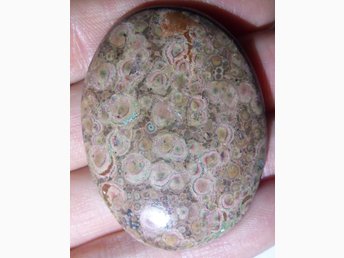 Asteroid jasper Cabochon