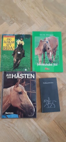 faktaböcker om häst, lättläst.