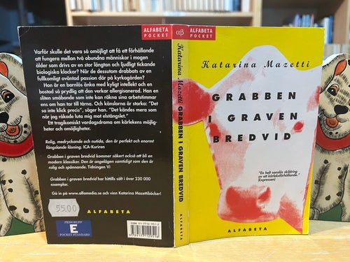 Grabben i graven bredvid - Katarina Mazetti, bok, Very Fine