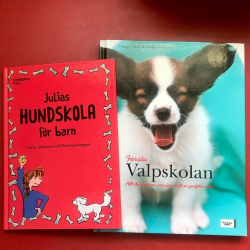 JULIAS HUNDSKOLA FÖR BARN Stefan Johansson + FÖRSTA VALPSKOLAN Maggie Holt