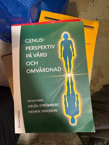Genusperspektiv på vård och omvårdnad, Helén Strömberg, Henrik Eriksson