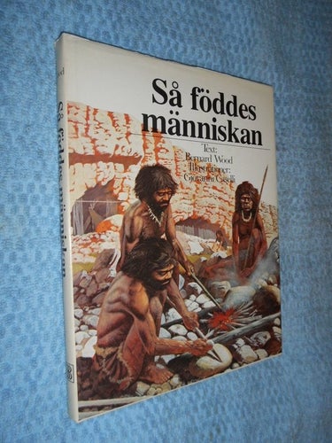 Så föddes människan