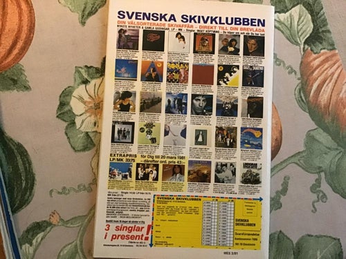 WESTERN NR 3 1981