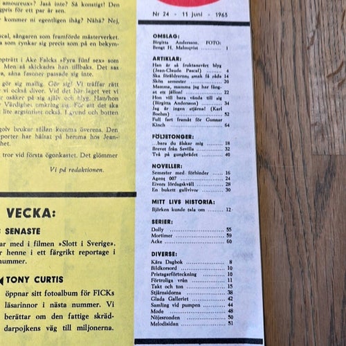 Hennes älsklings-tidning FICK, 1965-1966