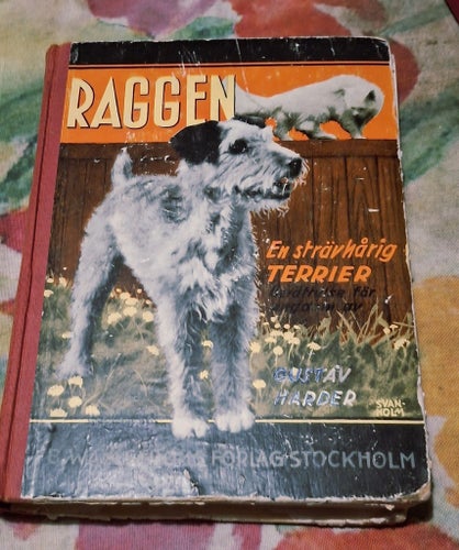 Raggen av Gustav Harder