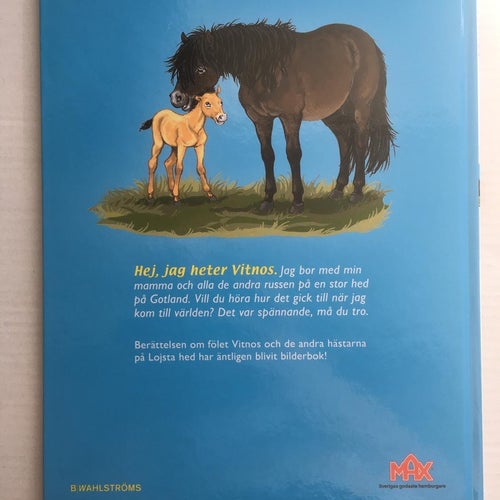 Vitnos det lilla russet