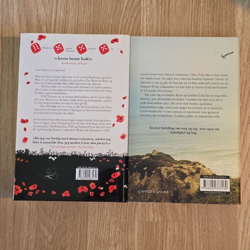 Bokpaket: Et helt halvt år av Jojo Moyes och Jenta på Klippen av Lucinda Riley