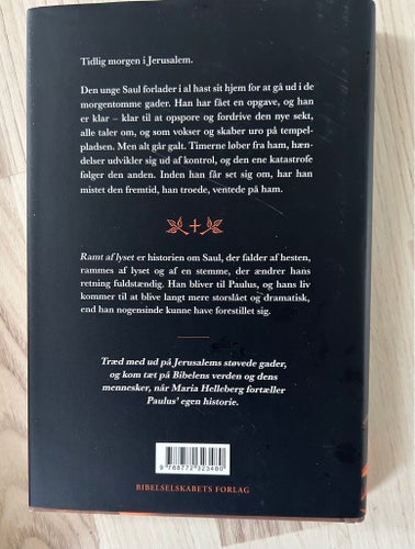 Ramt af Lyset - roman av Maria Helleberg 2025
