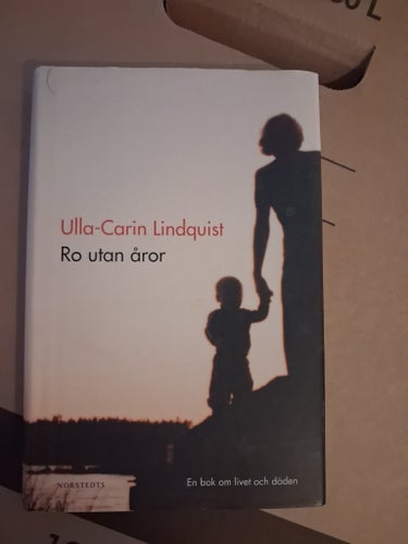Ro utan åror av Ulla-Carin Lindquist, 2004