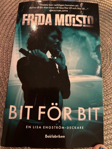 Bit för bit av Frida Moisto, 2023