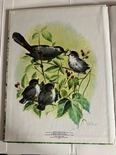 Barnbok Peter och fåglarna av Ian Munn, 1966