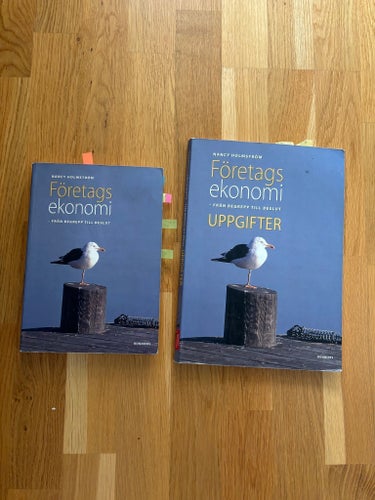 Företagsekonomi - Från Begrepp Till Beslut av Nancy Holmström