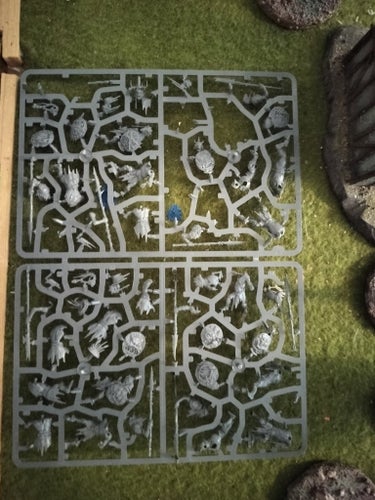Age of sigmar Kruleboyz från Dominionboxen