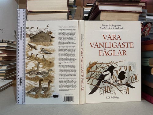 Våra vanligaste fåglar av Mats Åke Bergström, Carl-Fredrik Lundevall, VF+