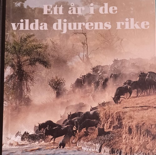 Ett år i de vilda djurens rike