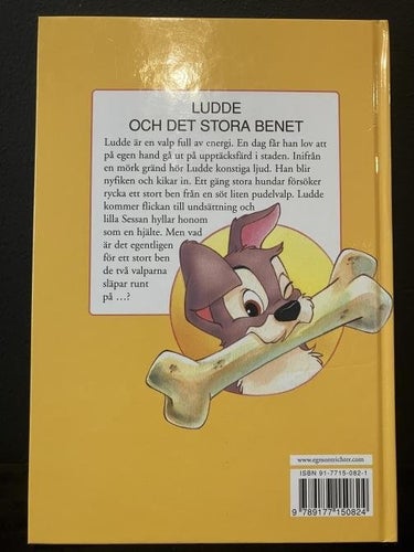 Bok - Disney Ludde och det stora benet
