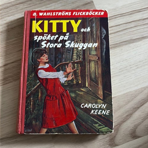 Kitty och spöket på stora skuggan av Carolyn Keene