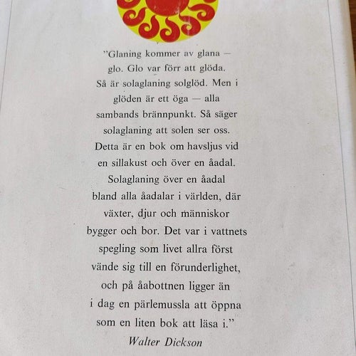 Solaglaning - En bok om havsljus vid en sillakust och över en åadal