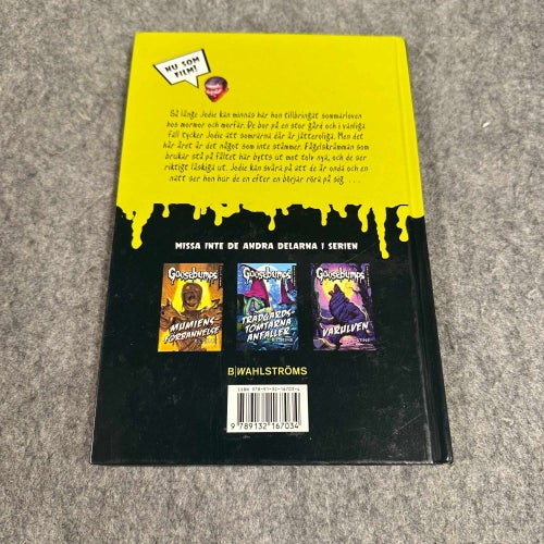 R.L. Stine - Kalla Kårar - Fågelskrämmorna - Goosebumps