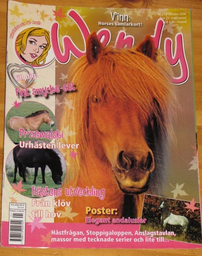 WENDY häst tidning nr 21 2006 hästtidning hästar barn tonår rid tjej tidning
