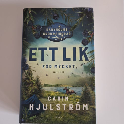 Ett lik för mycket av Carin Hjulström, 2023