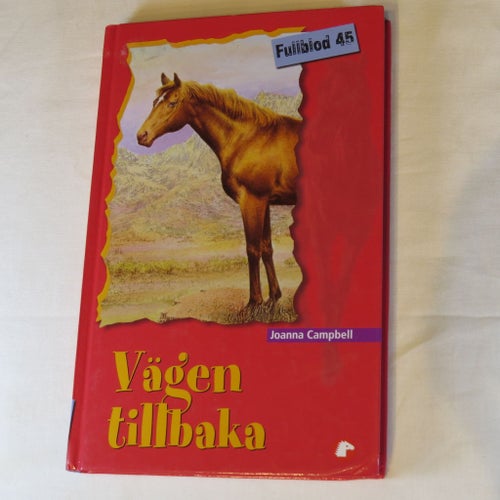 Vägen tillbaka av Joanna Campbell