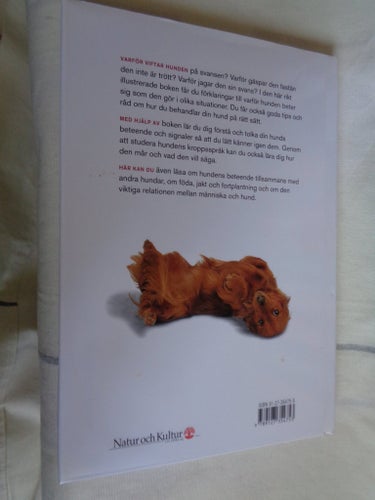 EJ SAMFRAKT. NY BOK Vad säger hunden av Gwen Bailey, 2002