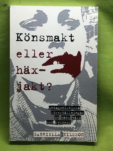 Könsmakt eller häxjakt? : Antagonistiska föreställningar om mäns våld mot kvinno