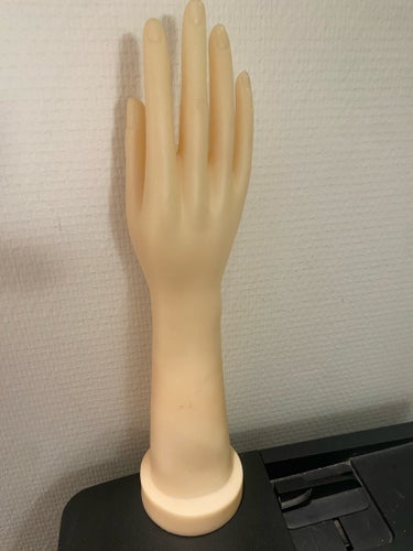 Handmodell