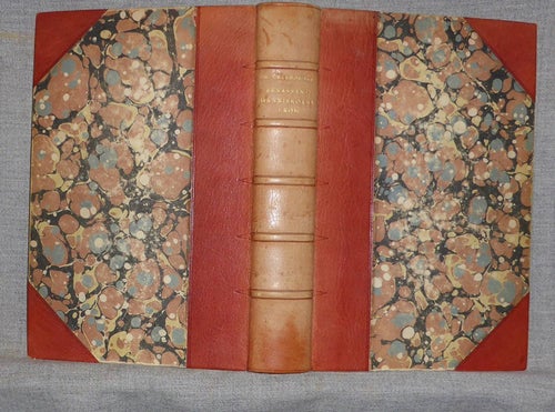 Kasimir Chledowski - Renässansmänniskorna i Rom. Illustrerad