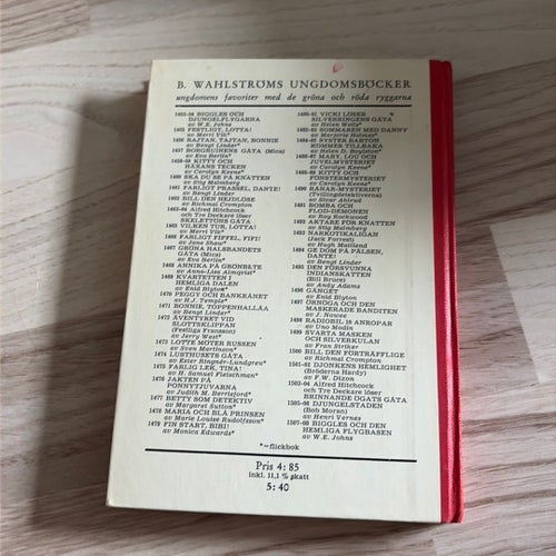 Mary, Lou och juvelmysteriet av Carolyn Keene
