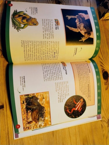 Ny farliga Djur - Vem Vet Vad. Faktabok barn