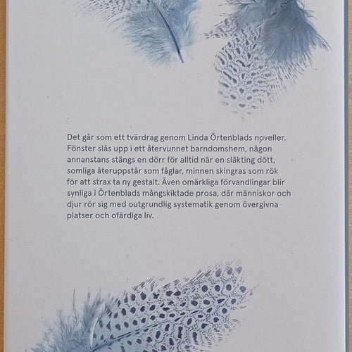 Kartotek över döda och återuppståndna: noveller / Linda Örtenblad