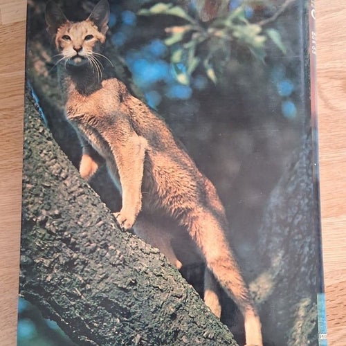The International Encyclopedia of Cats av Henderson/Coffey/Smith 1980/Engelska