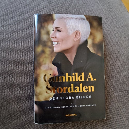 Gunhild A. Stordalen - Den stora bilden (2014)