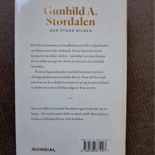 Gunhild A. Stordalen - Den stora bilden (2014)