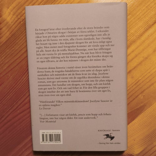 Det regnade fåglar av Jocelyne Saucier, 2017
