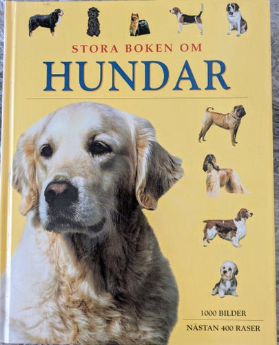HUNDAR /Juliette Cunliffe, 2002