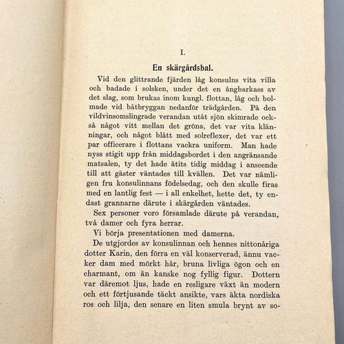 Spionernas hövding av C. Aug. Cederborg