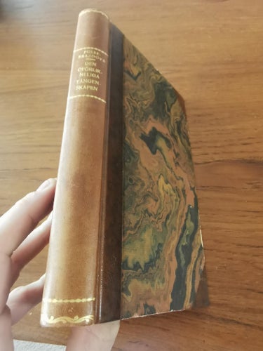 Den oförgängliga apan omslag medbundet brazdova