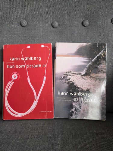 Karin Wahlberg - Hon som tittade in & Ett fruset liv