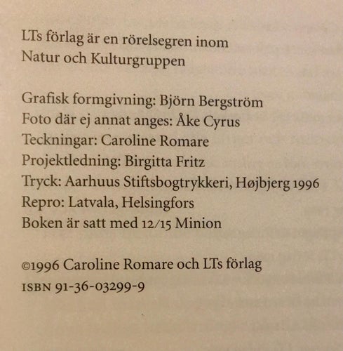 SIDEN, SAMMET, TRASA... Skapa nytt av gammalt Caroline Romare 1996