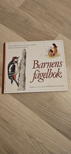 Barnens fågelbok - Bisse Falk & Lena Kallenberg