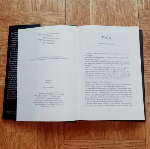 Höstoffer (Mons Kallentoft - Natur Kultur) Bok