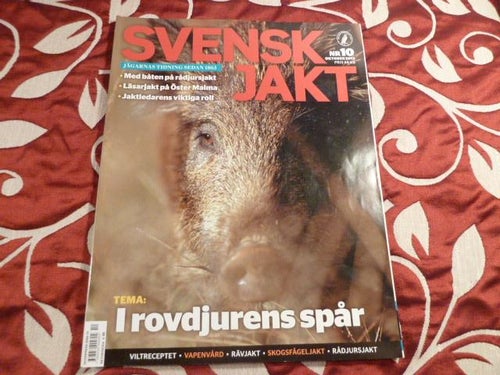 SVENSK JAKT NR10, 2013,