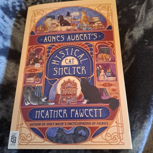 Agnes Aubert's Mystical Cat Shelter av Heather Fawcett, 2024